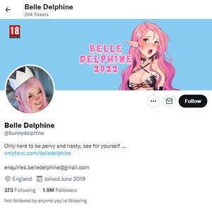 Belle Delphine Twitter Logo