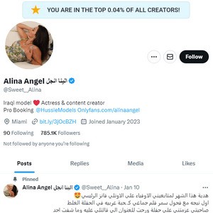 Alina Angel Twitter Logo