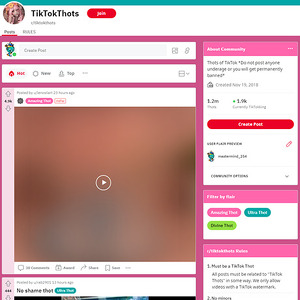 Reddit TikTokThots 文章缩略图