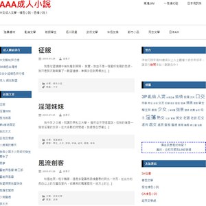 AAA成人小說 文章缩略图