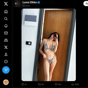 Luna Okko 文章缩略图